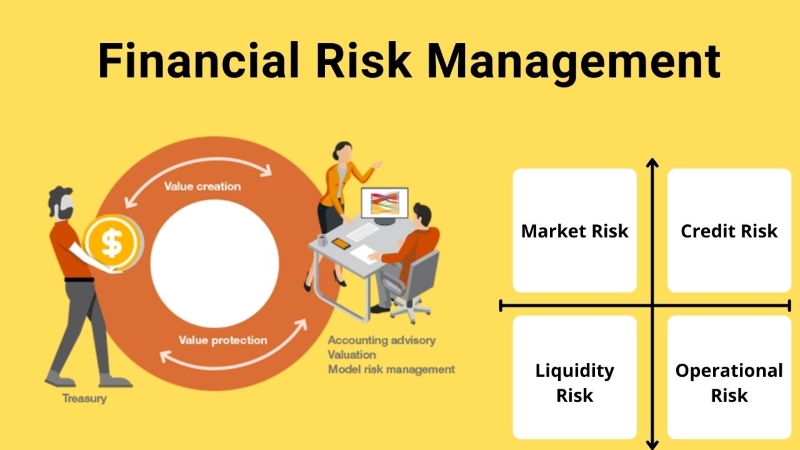 Financial risk management for business